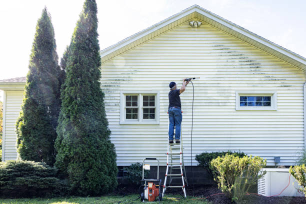 Best Driveway Pressure Washing  in Edina, MN